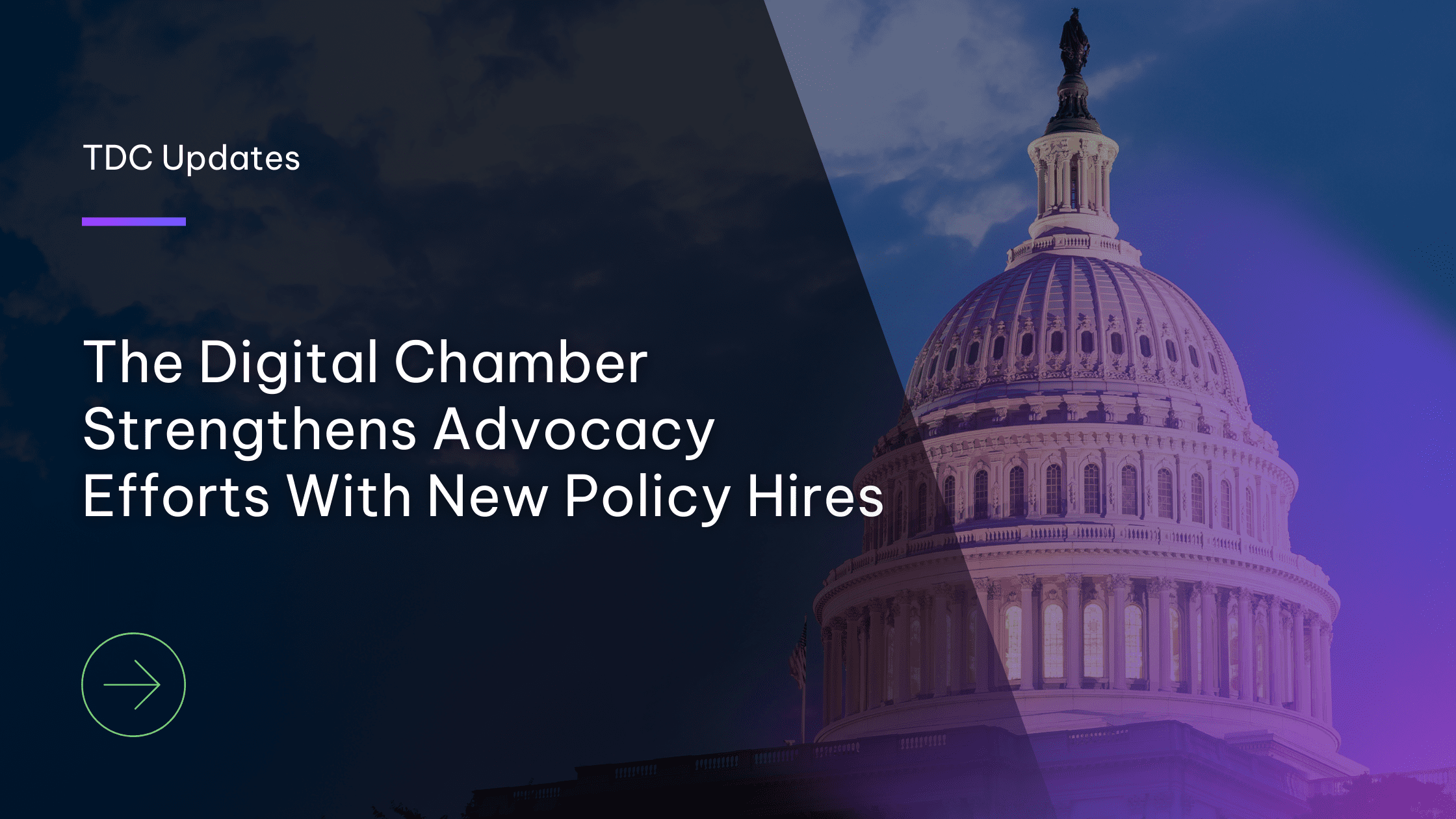 The Digital Chamber Strengthens Advocacy Efforts with New Policy Hires |  The Digital Chamber