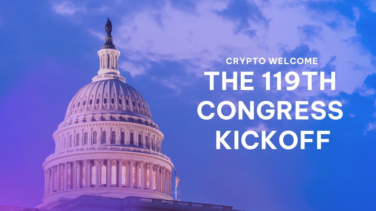 TDC Welcomes the 119th Congress | The Digital Chamber